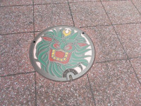 DSCN3006