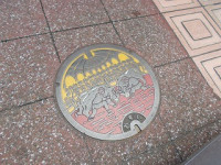 DSCN3007
