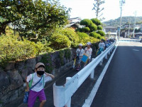 DSCN3106