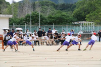 IMG_7101