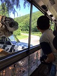 IMG_1251